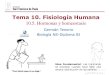 Tema 10. Fisiología Humanadpbiologia.weebly.com/uploads/2/1/5/5/21553524/gtp_t10.fisiologia... · La homeostasis implica el mantenimiento del medio ambiente interno del cuerpo dentro