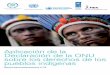 Aplicación de la Declaración de la ONU sobre los derechos de los€¦ · ONU/DAES Navi Pillay Alta Comisionada para los Derechos Humanos ACNUDH La Declaración de las Naciones Unidas