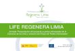 LIFE REGENERA LIMIAregeneralimia.org/wp-content/uploads/2015/06/01-Jornada-partes... · 1. ¿Qué es REGENERA LIMIA? PROYECTO PILOTO impulsado desde la Confederación Hidrográfica