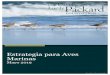 Marine Birds Strategy Spanish 5.24.19 · resultados, han sido dramáticos para las aves marinas y otras especies de flora y fauna, incluyendo aves playeras. Dado que las islas son