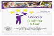 Revisión de marzo de 2019 - Texas Rising Star€¦ · El HB 376 exigía que el grupo de trabajo presentara recomendaciones que propusieran cambios al TRS para mayo de 2014, además
