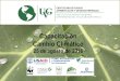 Capacitación Cambio Climático - SGCCC Sistema Guatemalteco de … · 2019. 3. 15. · Estrategia de Desarrollo con Bajas Emisiones LEDS Low Emission Development Strategy o LEDS