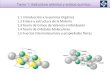 Tema 1: Estructura atómica y enlace químico. · 21 1.4 Teoría de Orbitales Moleculares • Los orbitales moleculares se forman por la combinación o interacción de orbitales atómicos