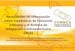 Presentación de PowerPointcedoc.inmujeres.gob.mx/Seminarios/XIIIEIEG/8/miosotis... · 2014. 3. 21. · Necesidades de información sobre estadísticas de Economía y Género y el