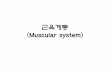 근육계통 (Muscular system)contents.kocw.net/KOCW/document/2014/Seowon/yoonwanyoung/5.… · – 얼굴표정, 씹기, 삼키기 2.척주근육 – 머리, 목, 척주의 굽힘근과