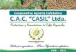Cooperativa Agraria Cafetalera C.A.C. “CASIL” Ltda. · San Ignacio. La Coipa. Tabaconas. Huarangos. Cooperativa Agraria Cafetalera “CASIL” Ltda 1966 - 2012 ... Proyecto 