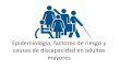 Epidemiologia de Discapacidad - HNdiscapacidad (12.9%) de la población. • 933,853 fueron adultos mayores (45%) • El 61% son mujeres • 17.35% presentó una discapacidad leve