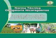 Norma Técnica Obligatoria Nicaragüensesimas.org.ni/media/publicaciones/LIBRO NTON NORMAL T... · 2015. 4. 22. · Norma Técnica Obligatoria Nicaragüense 8 3.7 Agroecosistema