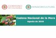 Cadena Nacional de la Morasioc.minagricultura.gov.co/Mora/Documentos/2018-08... · • Entre 2010 y 2017 el Área Sembrada en cultivos de Mora en Colombia aumentó en un 18%, alcanzando