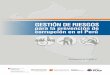 GESTIÓN DE RIESGOSgfpsubnacional.pe/wp-content/uploads/2018/07/gestion_de... · 2018. 7. 13. · 5 «Gestión de riesgos para la prevención de corrupción en el Perú», desarrollada