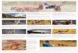 Experiencia Cañadón Pinturas · pinturas rupestres de más de 9 mil años de an˜güedad, que representan escenas de caza, nega˜vos de manos, fauna autóctona y ﬁguras abstractas