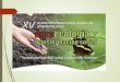 Avances y Retos de la Problemática Ambiental en Nicaragua · 2014. 9. 5. · Avances y Retos de la Problemática Ambiental en Nicaragua XV CURSO INTERNACIONAL DE AGROECOLOGÍA, Estelí