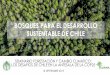 BOSQUES PARA EL DESARROLLO SUSTENTABLE DE CHILELOS DESAFÍOS DE CHILE EN LA ANTESALA DE LA COP25 13 SEPTIEMBRE 2019 BOSQUES PARA EL DESARROLLO SUSTENTABLE DE CHILE. 24% territorio