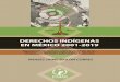 DERECHOS INDÍGENAS EN MÉXICO 2001-2019 · Derechos indígenas y las legislaturas locales 45 III. Territorio, tierra y recursos naturales 47 IV. Autoridades, cargos comunitarios