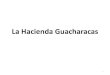 La Hacienda Guacharacas · 2012. 5. 31. · CARACOL RADIO, 1º de marzo de 2010 ... Escrituras de la venta de la Hacienda La Manada 9. Escrituras de la venta de la Hacienda La Manada