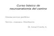 Sistema nervioso periférico Nervios craneanos ... · Nervios craneanos: Distribución Dr. Ismael Concha A. I OLFATORIOS Y VOMERONASALES II OPTICO III OCULOMOTOR IV TROCLEAR V TRIGEMINO