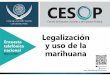 Legalización y uso de la marihuana€¦ · 39.0% responde que es el tema de la legalización del aborto, 27.0% opina que es la legalización de la marihuana, 18.4% manifiesta que