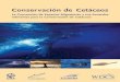Conservación de CetáceosConservación de cetáceos: La Convención de Especies Migratorias y sus Acuerdos Relevantes para la Conservación de Cetáceos. Escrito por Margi Prideaux