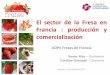 El#sector#de#la#Fresa#en# Francia# :# producción# y# …congresofrutosrojos.com/wp-content/uploads/2017/07/... · 2017. 7. 6. · El#sector#de#la#Fresa#en# Francia# :# producción#