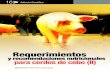 Requerimientos...Requerimientos y recomendaciones nutricionales para cerdos de cebo (II) Resumen preparado a partir de los trabajos publicados en el Congreso de Enfermedades Emergentes