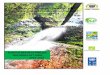 Plan de Manejo Parque Nacional La Tigra16:41... · Plan de Manejo así como las distintas acciones de manejo, conservación y desarrollo se realizarán a través de los mecanismos