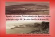 Agaete mi pasión: Fotos paisajes de Agaete y otras ......Agaete mi pasión: Fotos paisajes de Agaete y otras principios siglo XX ( Archivo familia de Armas III) Las fotografías son