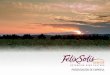 En esta presentación · a las ventas, logística y marketing de los vinos de Félix Solís y Pagos del Rey en Alemania, Austria y Suiza. 4 Félix Solís Francia S.A.R.L.: Compañía