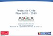 Frutas de Chile Plan 2018 – 2019fruitsfromchile.com/.../06/Marketing-ASOEX-2018.pdf · •Organización gremial privada sin fines de lucro • Fundada en 1935. • Miembros: Exportadores