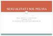 SEXUALITAT I SOL PELVIA · El sol pelvià juga un important paper en la sexualitat de la dona. Š. Per un costat forma part de la . plataforma orgasmica . que es crea durant la resposta