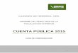 CUENTA PÚBLICA 2015 · CUENTA PÚBLICA 2015 INFORME DEL RESULTADO DE LA FISCALIZACIÓN SUPERIOR 2. PERFIL DEL ENTE FISCALIZADO DENOMINACIÓN MUNICIPIO DE CAZONES DE HERRERA, VER