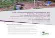 Las concesiones forestales en Petén, GuatemalaProtegidas (CONAP), la Asociación de Comunidades Forestales de Petén (ACOFOP) y ONG locales. El estudio abarca las 12 concesiones forestales