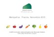 Montpellier, Francia. Noviembre 2015€¦ · Montpellier, Francia. Noviembre 2015 . El Mercado Modelo es el principal centro mayorista de comercialización hortofrutícola del país