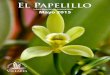 El Papelillo - Vallarta Botanical Gardens · El pasado mes de abril celebramos el Día de la Tierra y la gloria natural de nuestra Madre Tierra. Para los antiguos aztecas, la Diosa