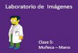 Clase 5: Muñeca Mano Clase 5: Muñeca – Mano Laboratorio de Imágenes ¿Qué huesos forman parte de la muñeca y la mano? - Huesos del Carpo - Metacarpianos - Falanges - Radio y