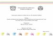 Universidad de Ixtlahuaca Estado de México · Tesis para obtener el título de Lic. En Diseño Gráfico Tema: Diseño de Material de Infografía, sobre el Síndrome de Compresión