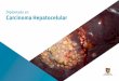 Diplomado en Carcinoma Hepatocelular€¦ · Hepatocelular que contiene el programa científico más completo y actualizado. El reconomiento expedido por la Facultad de Ciencias de