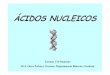8 acid nucleicos - Galiciacentros.edu.xunta.es/.../8_acidos_nucleicos.pdf · desoxirribonucle ósido. Estes teñen como bases nitroxenadas a adenina, citosina, guanina e timina. Se