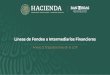 Líneas de Fondeo a Intermediarios Financieros · 2019. 9. 17. · Tratándose de proyectos en etapa de construcción, se podrán efectuar múltiples disposiciones considerando el
