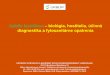 Xylella fastidiosa biológia, hostitelia, účinná · Xylella fastidiosa – symptómy na vybraných hostiteľoch Hostiteľ Typické symptómy citrus (pomarančovník) chlorotické