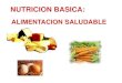 NUTRICION BASICA · 2020. 6. 13. · PORCIONES DIARIAS Las siguientes son las porciones correspondientes a un adulto saludable: Grupo 1 Cereales, pan, pastas, arroz,etc. 6- 11 porciones