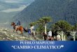 PUEBLO MAPUCHE “CAMBIO CLIMÁTICO · “ El Cambio Climático” trae a la par muchas consecuencias, tales como: la modificación del clima para la agricultura, trastornos a la