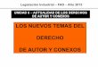 LOS NUEVOS TEMAS DEL DERECHO DE AUTOR Y CONEXOS · 2013. 8. 20. · legislación industrial – fad – año 2013 unidad 6 – actualidad de los derechos de autor y conexos los nuevos