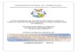 LAMBAYEQUE - 2014zonasegura.seace.gob.pe/mon/docs/procesos/2014/010517/733521… · GOBIERNO REGIONAL DE LAMBAYEQUE GERENCIA REGIONAL DE TRANSPORTES Y COMUNICACIONES Adjudicación