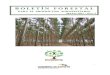 Boletin Forestal Mayo 2011 Nro. 7 - Santa Fe Province · conformación de cortinas forestales rompevientos. Prefiere suelos frescos y profundos, resultando muy útil para implantar