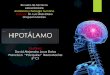 HIPOTÁLAMOs4f1d769cf586f6c7.jimcontent.com/download/version/1448434123/mo… · HIPOTALAMO Es el “comandante en jefe”del Sistema Nervioso Autónomo y del Sistema Neuroendocrino