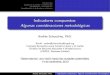 Indicadores compuestos: Algunas consideraciones metodol ogicasambientebogota.gov.co/.../INDICADORES+COMPUESTOS.pdf · Environmental Performance Index - EPI (2008) Andr es Schuschny,