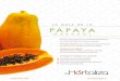 LA GUÍA DE LA PAPAYA · La papaya es un fruto muy delicado RECOMENDACIONES: Evitar la constante manipulación directa con las manos. No oprimir el fruto con los dedos. ¡IMPORTANTE!