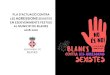 PLA D’ACTUACIÓ CONTRA LES AGRESSIONS SEXISTES EN … · 2020. 6. 11. · Pla d’actuació contra les agressions sexistes en esdeveniments festius al municipi de Blanes 2 0. Glossari