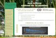 AVANCE PLAN DE cadena de la guadua · Encuesta vivienda prearmada en guadua 9 Mejoramiento de vivienda rural 9 Centro Nacional para el Estudio del Bambú 10 Certificación de com-petencias