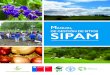 Manual de gestión de sitios Sipam - odepa.gob.cl · En los territorios SIPAM, las soluciones ingeniosas a los desafíos de la alimentación y la producción son resultado de una